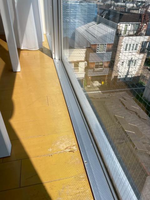 目黒区目黒本町でフローリングの劣化傷既存写真