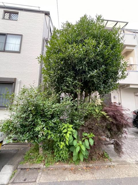 品川区旗の台で庭部分の剪定前写真