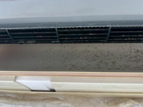 品川区武蔵小山の賃貸マンションでエアコン洗浄中の写真