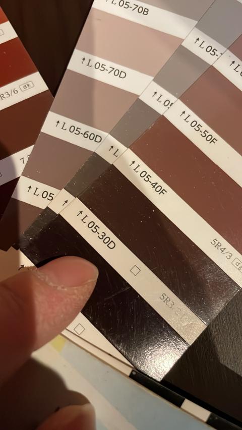 戸越銀座商店街ホルモン焼きさんから店内塗装色決めの写真