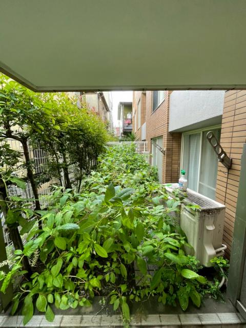 武蔵小山の㍇の共用部の既存の写真