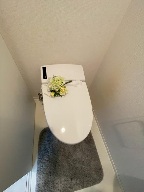 武蔵小山で中古マンション購入後リフォームトイレ既存写真