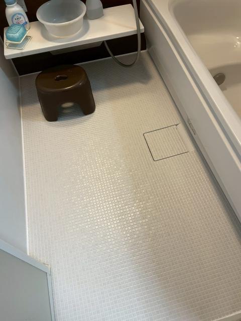 品川区戸越で浴室ユニットバスの床一面張替え補修した写真1