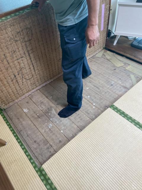目黒区原町で劣化した琉球畳を剥がして調査している写真