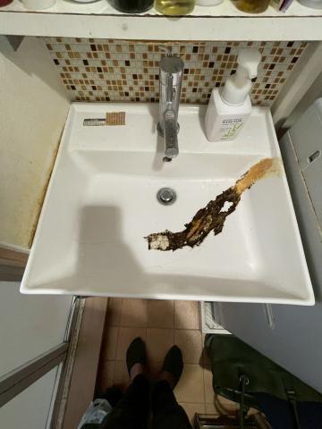 目黒区原町で割れた洗面ボウルを調査した写真