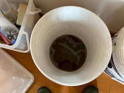 武蔵小山の賃貸マンションのオーナー様から絨毯の洗浄を依頼されて洗浄後の汚水写真