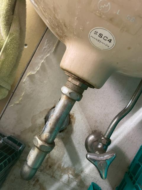 目黒本町で店舗手洗い排水トラップ水漏れ下から確認している写真