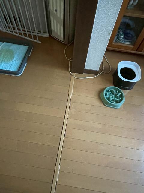 目黒区下目黒で床の張替え相談写真