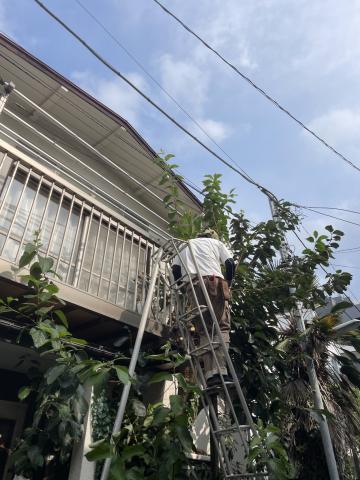 武蔵小山で外装改修工事の剪定作業前スタッフが準備している写真