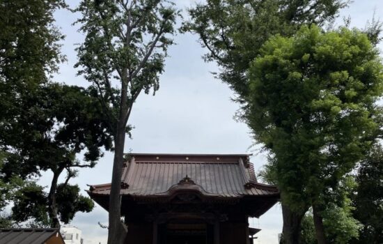 9期目に向けて🌈