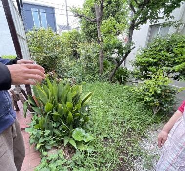 品川区旗の台で庭園剪定の打合せに伺いました