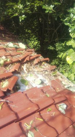 目黒区で種瓦の補修工事写真