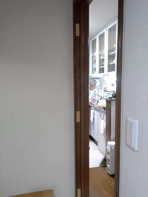 品川区小山のご自宅内で不要とっビラ撤去丁番がついていたところ3か所あった写真