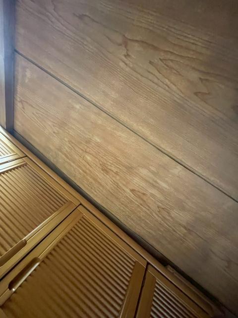 戸越で室内天井雨染みなど調査写真