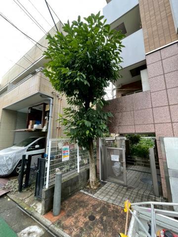 武蔵小山のマンション共用部の剪定と草むしりを行う写真