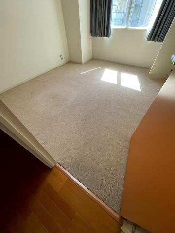 武蔵小山の賃貸マンション絨毯の洗浄をご依頼された写真