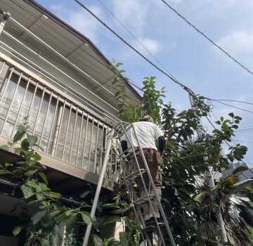 武蔵小山で外装改修工事前に剪定作業を行いました