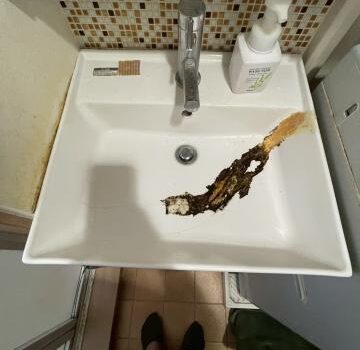 目黒区原町の賃貸マンションに割れた洗面ボウルの調査に行きました