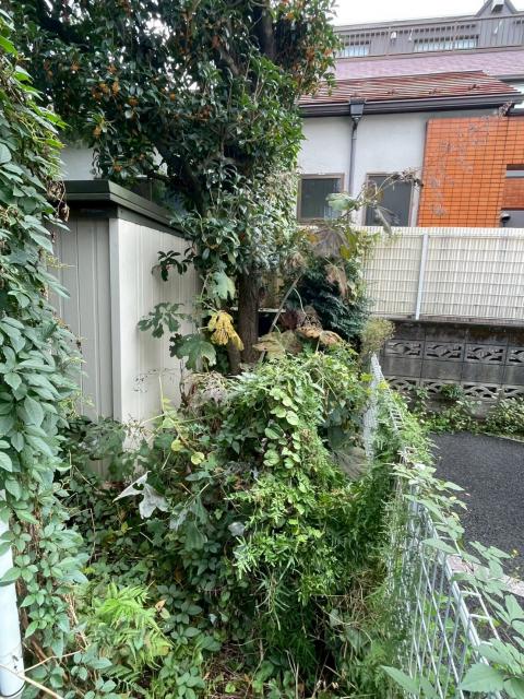 西小山の戸建ての庭既存写真