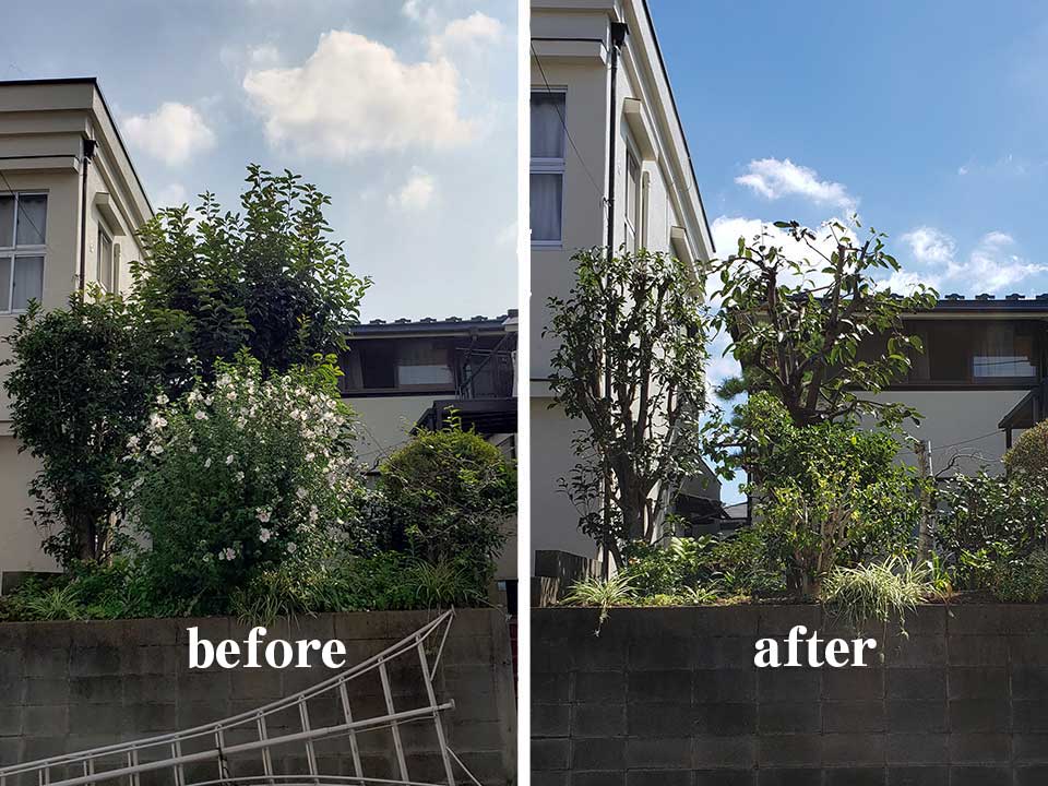 庭の剪定作業写真