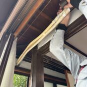 品川区小山台でエアコン交換作業中写真