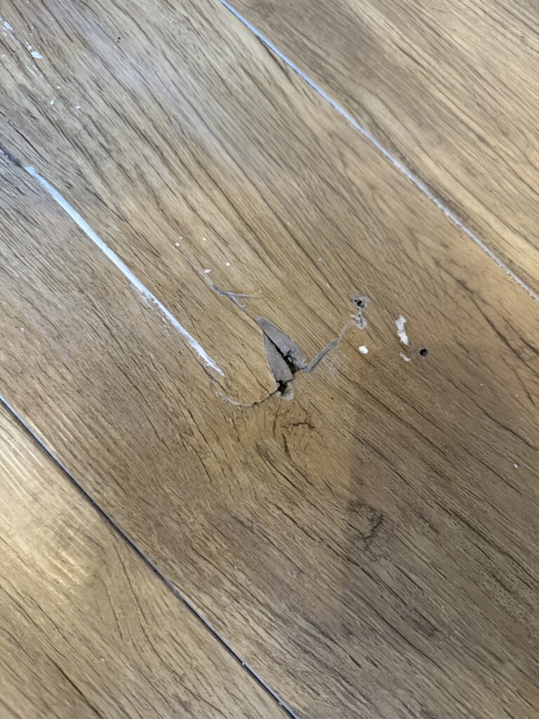 目黒区原町で床の傷や穴の既存写真