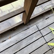 目黒区下目黒で木製ベランダの既存写真