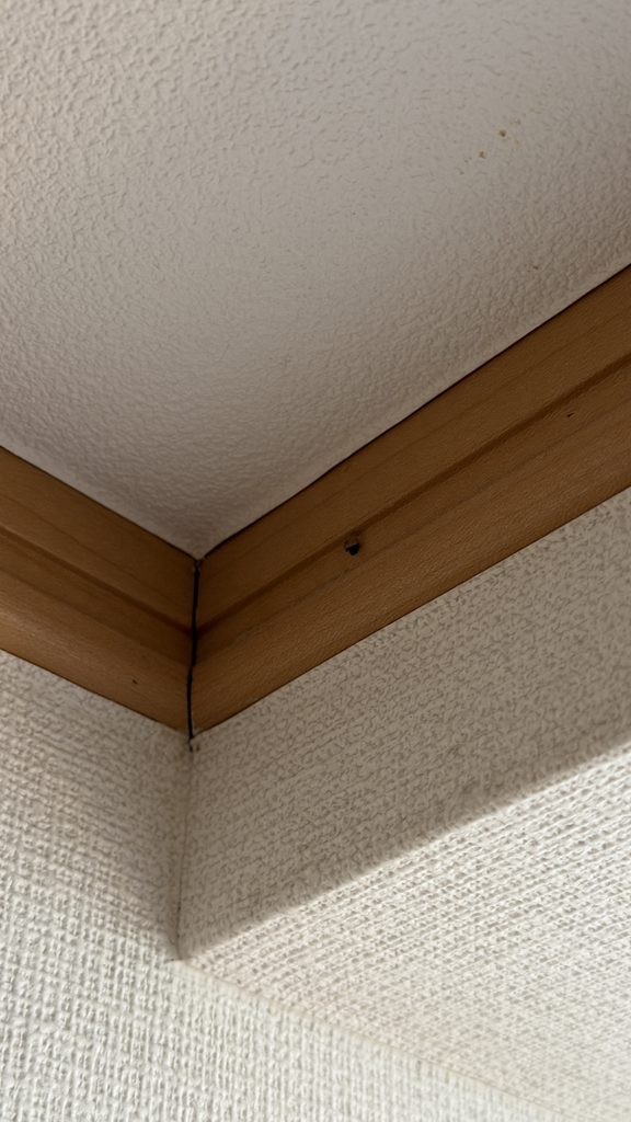 目黒区大岡山で天窓付近クロス木枠の既存写真