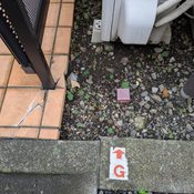 品川区荏原で床タイル破損既存写真