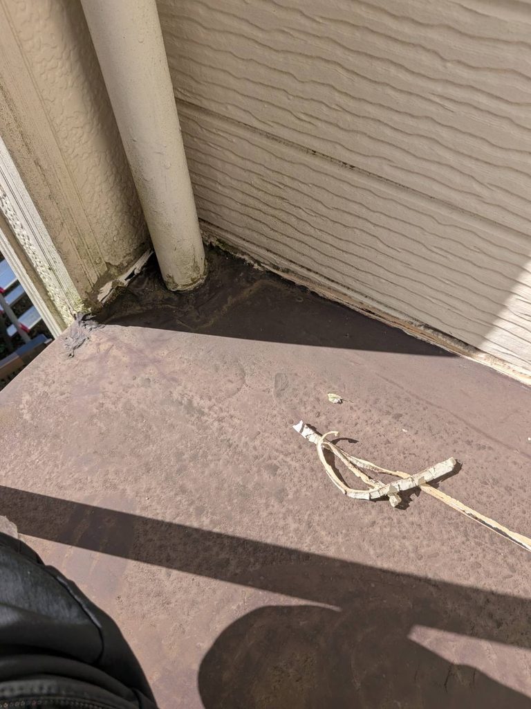 品川区小山台で床面と外壁の間のシールが剥がれ落ちた既存写真